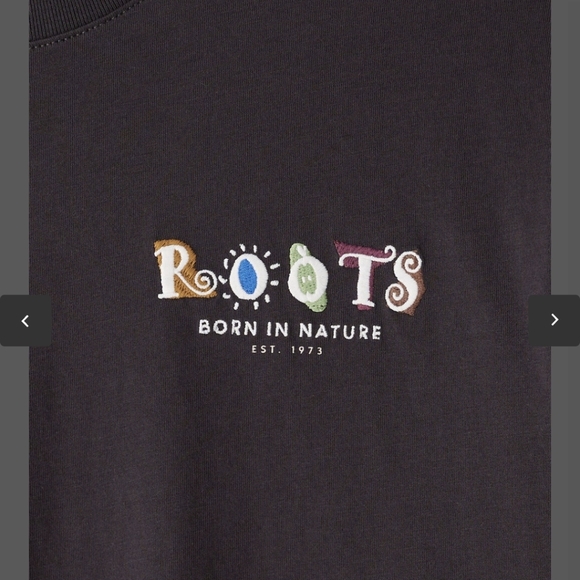 Roots Men's Charcoal Tee - Picture 3 of 9